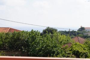 dsc08079